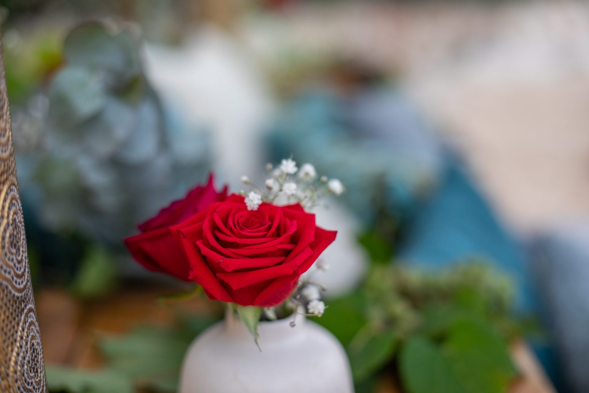 red rose at baoase