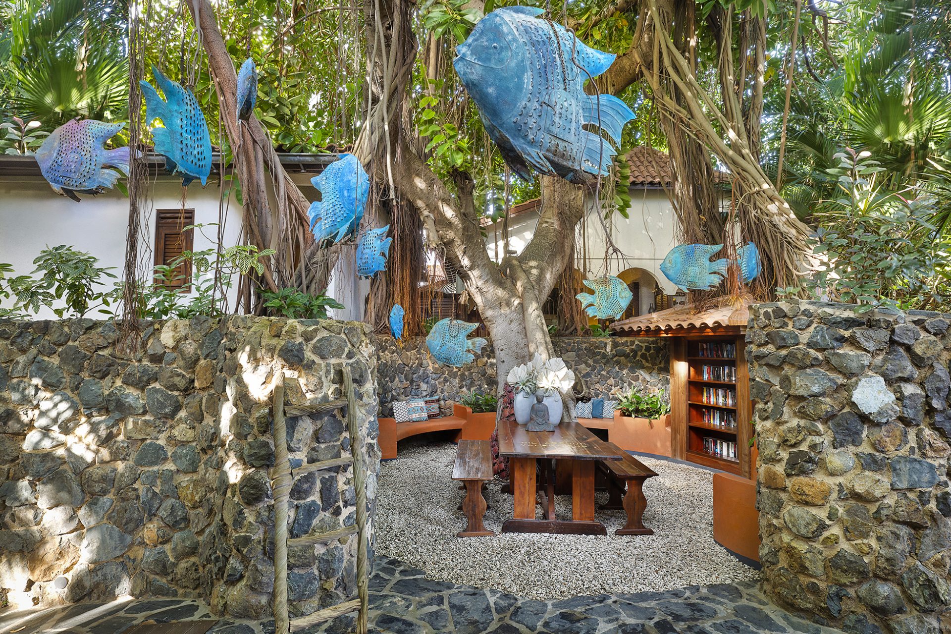 The banyan tree at Baoase