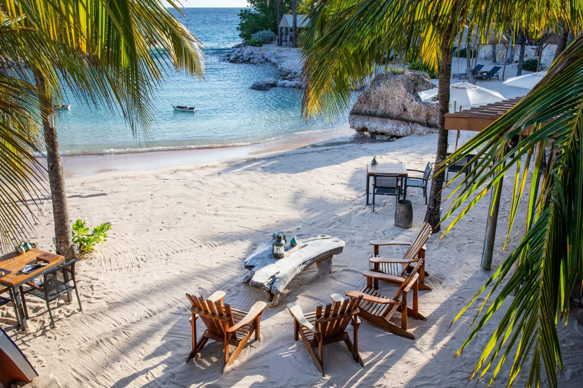 Beachchairs on the beach surrounded by palm trees