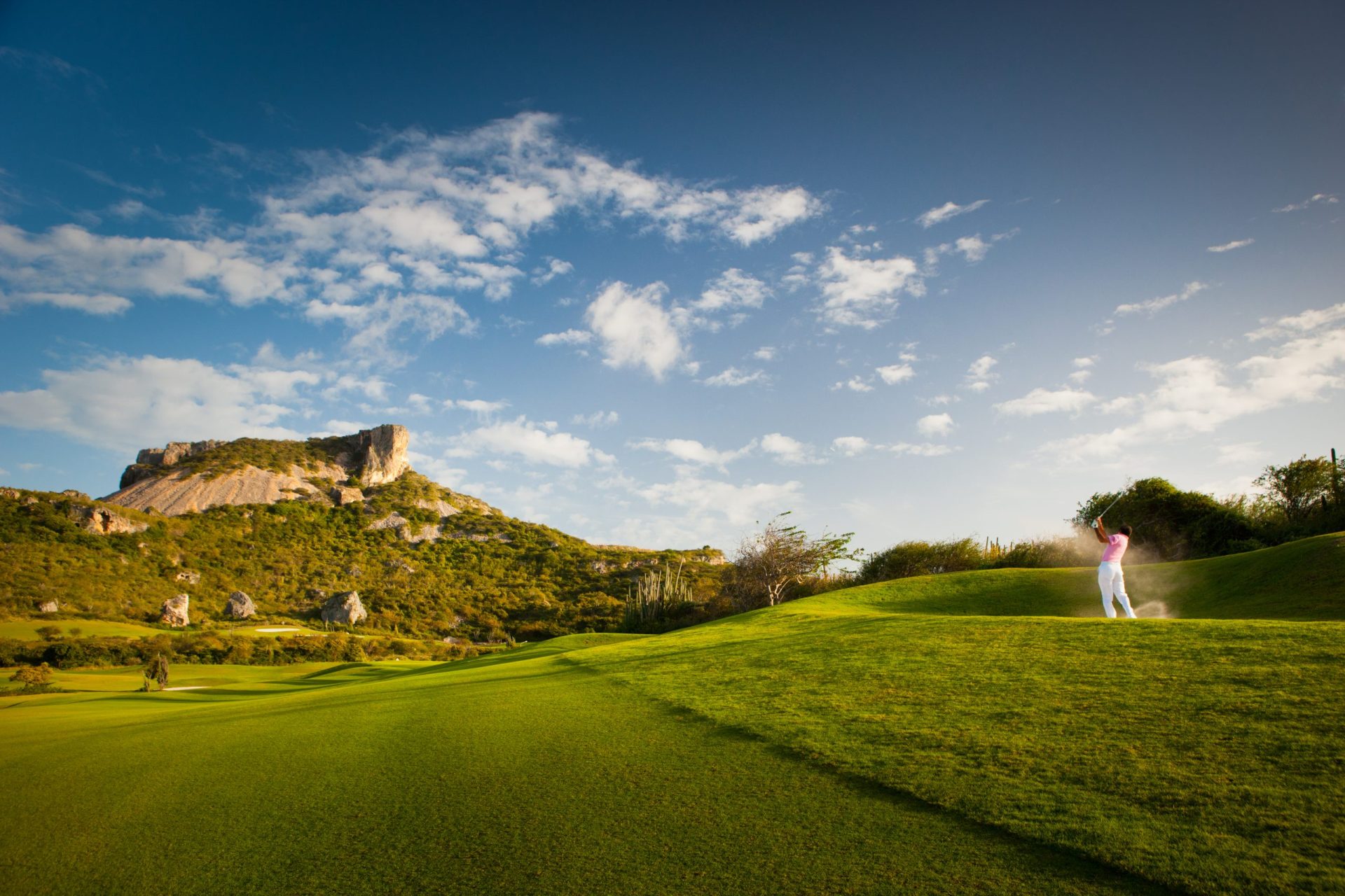 A man playing golf on a huge field with a small mountain in the background