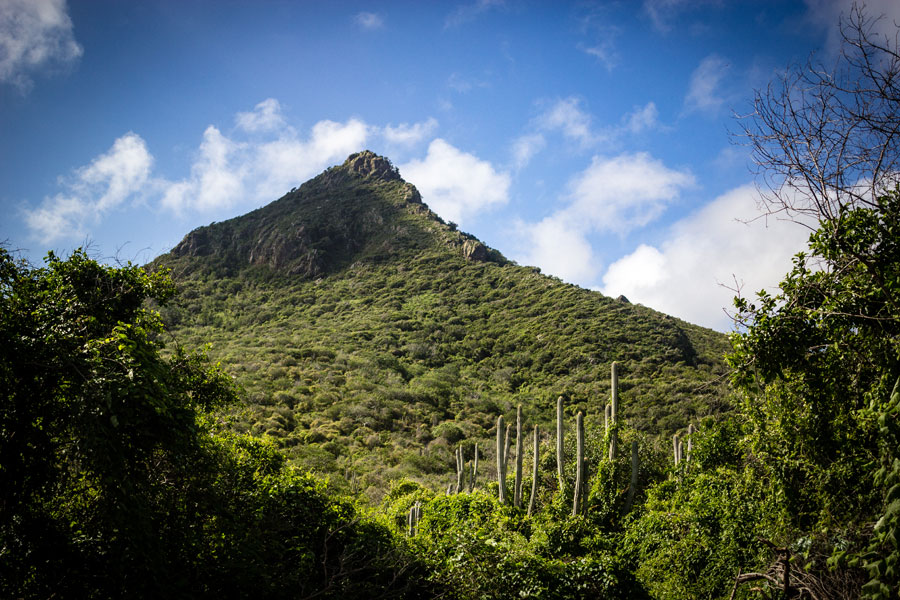 mountains